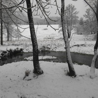 2019 01 : Leden se sněhem v Nové Perle. (fotografie Ivan Mečl)