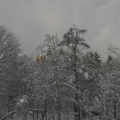 2019 01 : Leden se sněhem v Nové Perle. (fotografie Ivan Mečl)