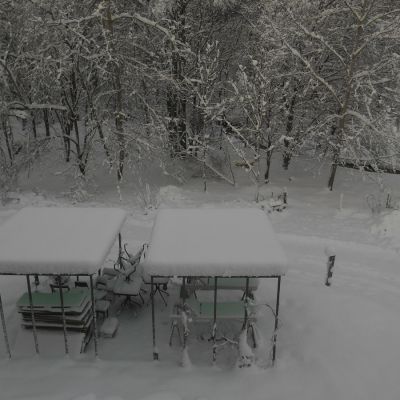 2019 01 : Leden se sněhem v Nové Perle. (fotografie Ivan Mečl)