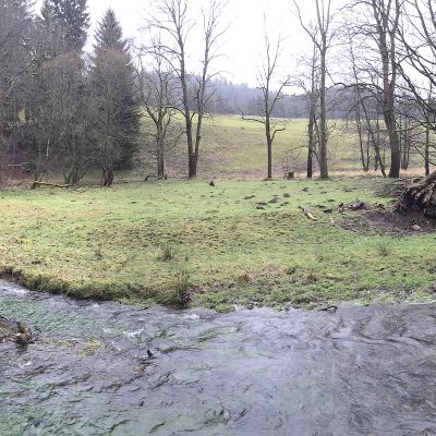 2018 01 : Říčka Křinice pod továrnou. (fotografie František Nikl)