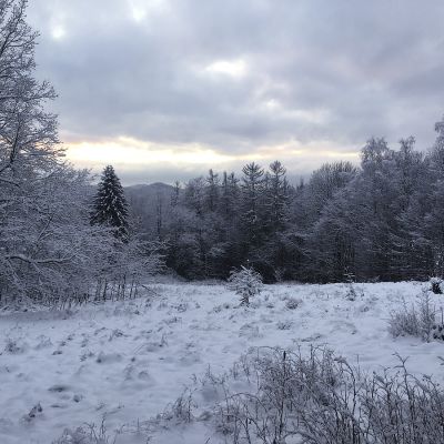 2021 01 : Zima kolem Perly. (fotografie Sylva Hampalová)