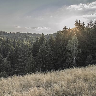 2018 07 : Louky nad Perlou. (fotografie Sebastián Vošvrda)